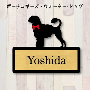 y X[p[Z[ P5{ z \Dy|[`M[YEH[^[hbOz LL l[v[g ybg  ObY }V Ap[g ˌ Mtg z{bNX |Xg