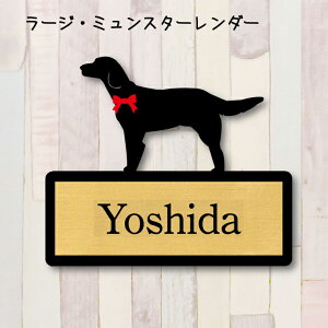 y X[p[Z[ P5{ z \Dy[W~X^[_[z LL l[v[g ybg  ObY }V Ap[g ˌ Mtg z{bNX |Xg