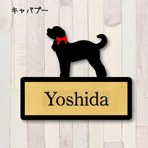 y X[p[Z[ P5{ z \DyLov[z S l[v[g ybg  ObY }V Ap[g ˌ Mtg z{bNX |Xg