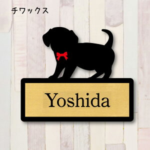 y X[p[Z[ P5{ z \Dy`bNXz S l[v[g ybg  ObY }V Ap[g ˌ Mtg z{bNX |Xg