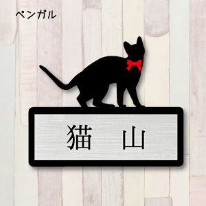 y X[p[Z[ P5{ z \DyxKz M 킢 l[v[g ybg L ObY }V Ap[g ˌ Mtg z{bNX |Xg ɂ