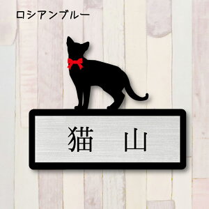 y X[p[Z[ P5{ z \DyVAu[z S 킢 l[v[g ybg L ObY }V Ap[g ˌ Mtg z{bNX |Xg ɂ