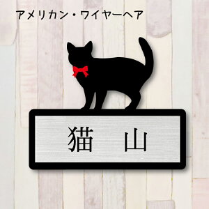y X[p[Z[ P5{ z \DyAJC[wAz L 킢 l[v[g ybg L ObY }V Ap[g ˌ Mtg z{bNX |Xg ɂ