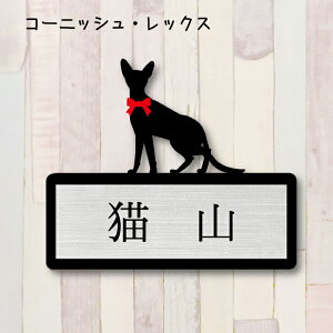 y X[p[Z[ P5{ z \DyR[jbVbNXz L 킢 l[v[g ybg L ObY }V Ap[g ˌ Mtg z{bNX |Xg ɂ