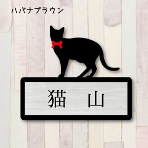 y X[p[Z[ P5{ z \DynoiuEz S 킢 l[v[g ybg L ObY }V Ap[g ˌ Mtg z{bNX |Xg ɂ