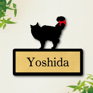 y X[p[Z[ P5{ z \Dy TCxA z S 킢 l[v[g ybg L ObY }V Ap[g ˌ Mtg z{bNX |Xg ɂ