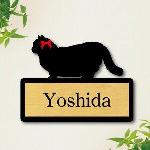 y X[p[Z[ P5{ z \Dy }`J z M 킢 l[v[g ybg L ObY }V Ap[g ˌ Mtg z{bNX |Xg ɂ