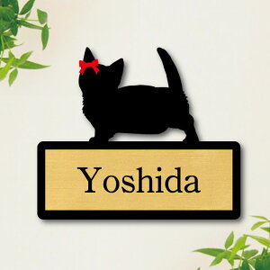y X[p[Z[ P5{ z \Dy }`J z S 킢 l[v[g ybg L ObY }V Ap[g ˌ Mtg z{bNX |Xg ɂ