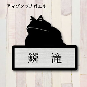 y}\ P5{z \DyA}]cmKGz M 킢 l[v[g ybg  JG ^ ObY }V Ap[g ˌ t ȒP Mtg  z{bNX |Xg