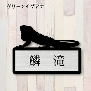 \DyO[COAiz S 킢 l[v[g ybg ঒ gJQ ObY }V Ap[g ˌ t ȒP Mtg  z{bNX |Xg