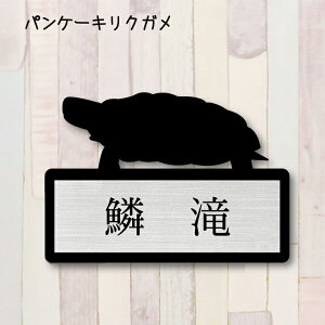 y X[p[Z[ P5{ z \DypP[LNKz S 킢 l[v[g ybg ঒ T J ObY }V Ap[g ˌ t ȒP Mtg  z{bNX |Xg