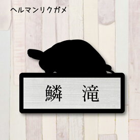 コレクション かわいい 亀 イラスト 簡単 無料の動物画像