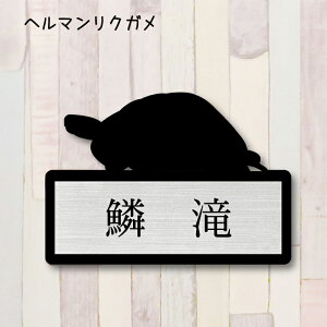 \Dyw}NKz M 킢 l[v[g ybg ঒ T J ObY }V Ap[g ˌ t ȒP Mtg  z{bNX |Xg