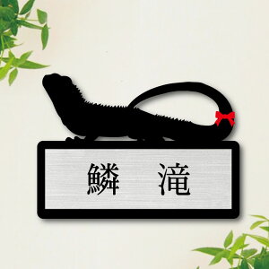 \Dy EH[^[hS z M 킢 l[v[g ybg gJQ ঒  ObY }V Ap[g ˌ t ȒP Mtg  z{bNX |Xg