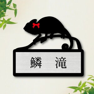 \Dy G{VJI z M 킢 l[v[g ybg gJQ ঒  ObY }V Ap[g ˌ t ȒP Mtg  z{bNX |Xg