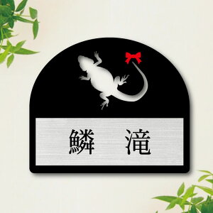 \Dy tgASqQgJQ z LL 킢 l[v[g ybg gJQ ঒  ObY }V Ap[g ˌ t ȒP Mtg  z{bNX |Xg