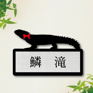 y}\ P5{z \Dy CgJQ z M 킢 l[v[g ybg gJQ ঒  ObY }V Ap[g ˌ t ȒP Mtg  z{bNX |Xg