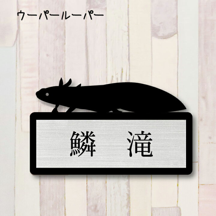 楽天市場 送料無料 表札 ウーパールーパー ｓサイズ かわいい ネームプレート ペット 両生類 グッズ マンション アパート 戸建て 引っ越し 取付 簡単 お祝い プレゼント 映え 映える ギフト 彫刻 安い オシャレ 宅配ボックス ポスト 新築 Mo U Ra