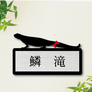 y}\ P5{z \Dy VPC z S 킢 l[v[g ybg C  ObY }V Ap[g ˌ t ȒP Mtg  z{bNX |Xg