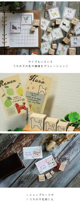 楽天市場 送料無料 スタンプ リスザル 4個セット イラスト シルエット グッズ ペット バレットジャーナル かわいい シンプル 手紙 カード 名刺 塗り絵 小動物 猿 Mo U Ra
