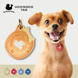 【スーパーSALE 期間中 ポイントUP！ 】迷子札 【 土佐犬2 】 UCHINOCOタグ ドッグタグ 名入れ グッズ ペット 名札 軽量 極小 軽い ネームタグ かわいい おしゃれ 首輪 鳥 猫 犬 ワンコ ニャンコ フェレット トカゲ キーホルダー