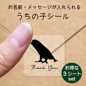 楽天市場 サザナミインコ グッズの通販