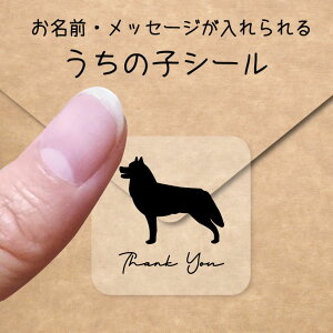 y BLACK FRIDAY P5{ z ̎q V[ y VxAnXL[ z OV[ Ot bZ[W XebJ[ ybg ObY VGbg h  NA I[_[Ch minne Creema BASE 