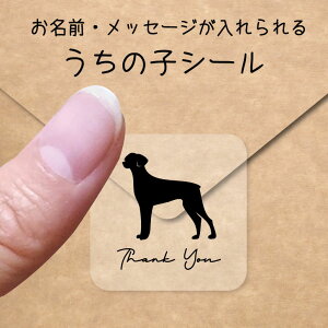 y }\ P5{ z̎q V[ y h[x} ꎨ z OV[ Ot bZ[W XebJ[ ybg ObY VGbg h  NA I[_[Ch minne Creema BASE 