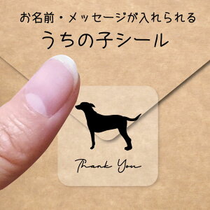 y }\ P5{ z̎q V[ y W[}sV[ z OV[ Ot bZ[W XebJ[ ybg ObY VGbg h  NA I[_[Ch minne Creema BASE 