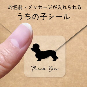 y BLACK FRIDAY P5{ z ̎q V[ y _fBfBgeA z OV[ Ot bZ[W XebJ[ ybg ObY VGbg h  NA I[_[Ch minne Cre