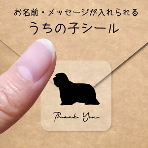 y BLACK FRIDAY P5{ z ̎q V[ y rAfbhR[ z OV[ Ot bZ[W XebJ[ ybg ObY VGbg h  NA I[_[Ch minne Creema BASE 