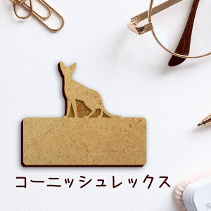 DyR[jbVbNXz 킢 l[v[g obW ob` ybg L ˂ lR ObY v[g f f ؐ   lC U obO obN nhCh L