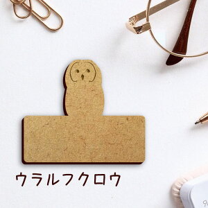 DyEtNEz 킢 l[v[g obW ob` ybg tNE   ObY v[g f f ؐ   lC U obO obN nhCh L[o