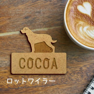 y }\ P5{ z DybgC[z 킢 l[v[g obW ob` ybg  ObY v[g f f Mtg   lC U obO obN ؐL[