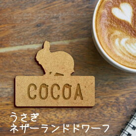 【 マラソン中 P5倍 】名札【うさぎ ネザーランドドワーフ】 かわいい ネームプレート バッジ バッチ ペット 小動物 グッズ プレゼント 映え 映える ギフト 彫刻 安い 人気 お散歩 バッグ バック 木製キャリーバッグ スリング ドッグスリング