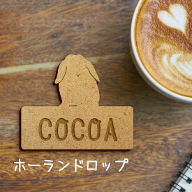 【 マラソン中 P5倍 】名札【うさぎ ホーランドロップ】 かわいい ネームプレート バッジ バッチ ペット 小動物 グッズ プレゼント 映え 映える ギフト 彫刻 安い 人気 お散歩 バッグ バック 木製キャリーバッグ スリング ドッグスリング