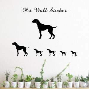 y }\ P5{ z EH[XebJ[ y _VA z킢 ybg V[ VGbg ObY  v[g Mtg JbeBO ]ʃV[ ]ʃV[g  CeA 