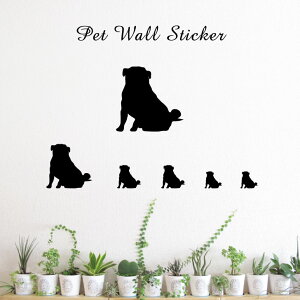 y }\ P5{ z EH[XebJ[ y pO  z킢 ybg V[ VGbg ObY  v[g Mtg JbeBO ]ʃV[ ]ʃV[g  CeA 