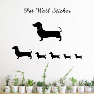 EH[XebJ[ y ~j`A_bNXth X[X z킢 ybg V[ VGbg ObY  v[g Mtg JbeBO ]ʃV[ ]ʃV[g  CeA 