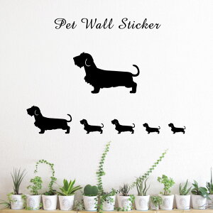 EH[XebJ[ y ~j`A_bNXth C[ z킢 ybg V[ VGbg ObY  v[g Mtg JbeBO ]ʃV[ ]ʃV[g  CeA 