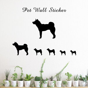 EH[XebJ[ y l z킢 ybg V[ VGbg ObY  v[g Mtg JbeBO ]ʃV[ ]ʃV[g  CeA 