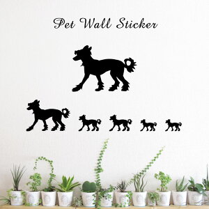 EH[XebJ[ y `Cj[YNXebhhbO z킢 ybg V[ VGbg ObY  v[g Mtg JbeBO ]ʃV[ ]ʃV[g  CeA 