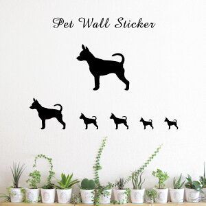 EH[XebJ[ y vVXL[NTW[N z킢 ybg V[ VGbg ObY  v[g Mtg JbeBO ]ʃV[ ]ʃV[g  CeA 