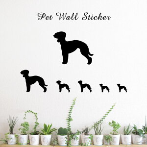 EH[XebJ[ y xhgeA z킢 ybg V[ VGbg ObY  v[g Mtg JbeBO ]ʃV[ ]ʃV[g  CeA 