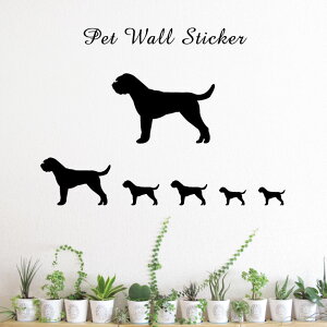 y }\ P5{ z EH[XebJ[ y {[_[eA z킢 ybg V[ VGbg ObY  v[g Mtg JbeBO ]ʃV[ ]ʃV[g  CeA 