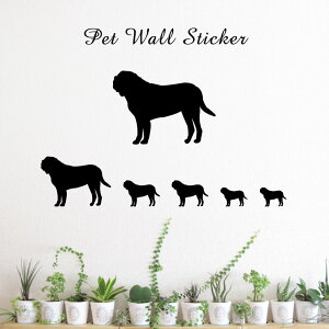 y }\ P5{ z EH[XebJ[ y }XeBt z킢 ybg V[ VGbg ObY  v[g Mtg JbeBO ]ʃV[ ]ʃV[g  CeA 