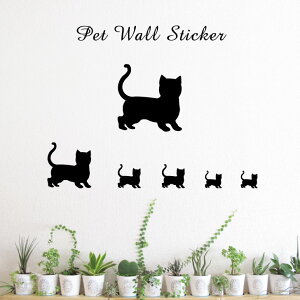 y }\ P5{ z EH[XebJ[ y }`J@V[gwA z킢 ybg V[ VGbg ObY  v[g Mtg JbeBO ]ʃV[ ]ʃV[g  