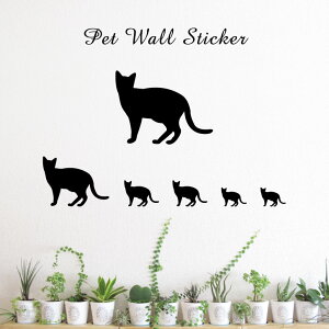 y }\ P5{ z EH[XebJ[ y noiuE z킢 ybg V[ VGbg ObY  v[g Mtg JbeBO ]ʃV[ ]ʃV[g  CeA 