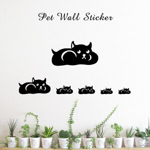 y }\ P5{ z EH[XebJ[ y nX^[ z킢 ybg V[ VGbg ObY  v[g Mtg JbeBO ]ʃV[ ]ʃV[g  CeA 