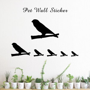 EH[XebJ[ y LJ`E z킢 ybg V[ VGbg ObY  v[g Mtg JbeBO ]ʃV[ ]ʃV[g  CeA 